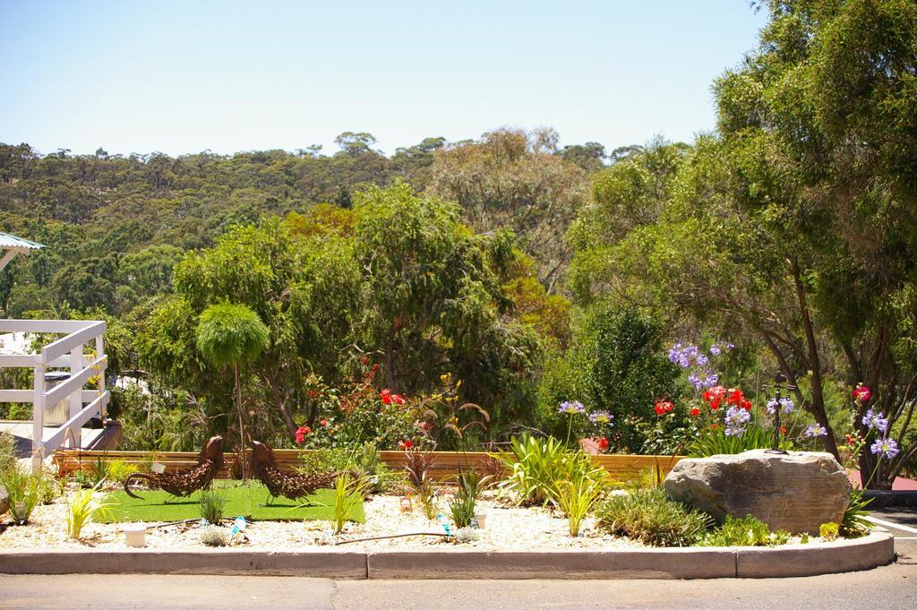 Clare Valley Motel Esterno foto