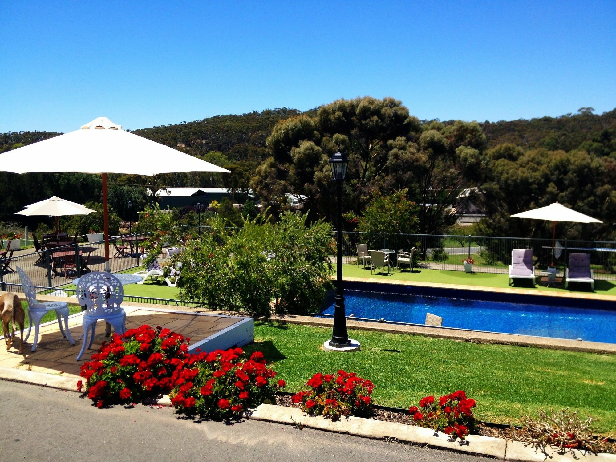 Clare Valley Motel Esterno foto