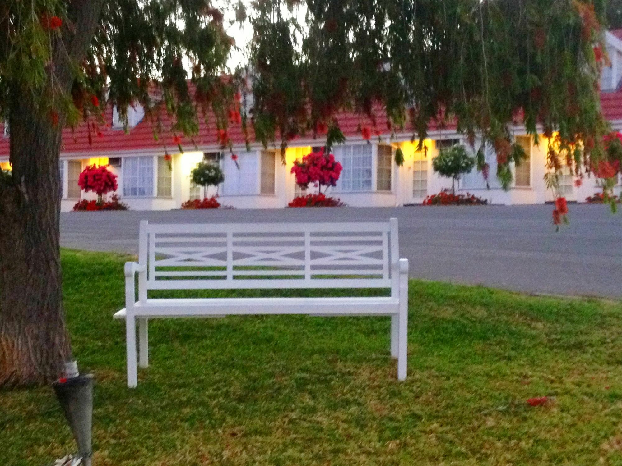 Clare Valley Motel Esterno foto
